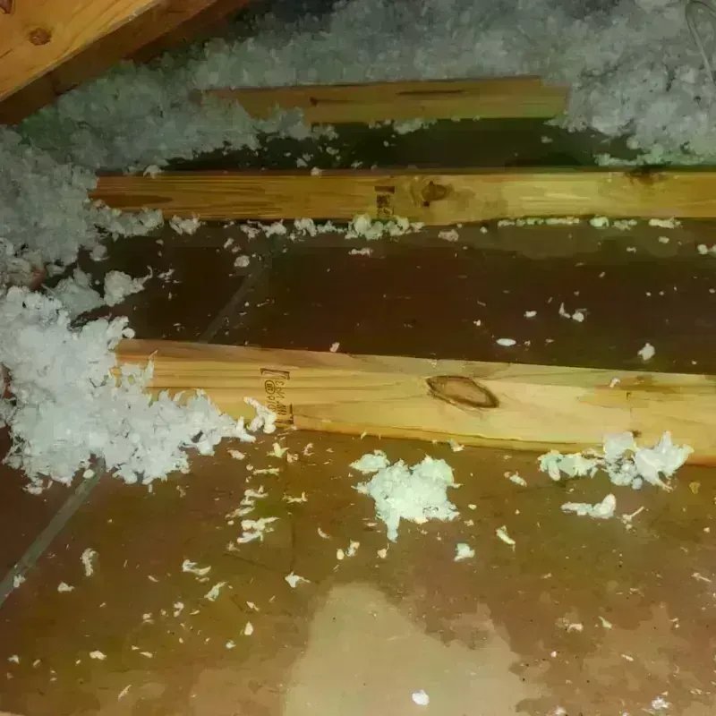 Best Attic Water Damage Service in Spuyten Duyvil, NY